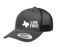 Load image into Gallery viewer, Live Free - Snapback
